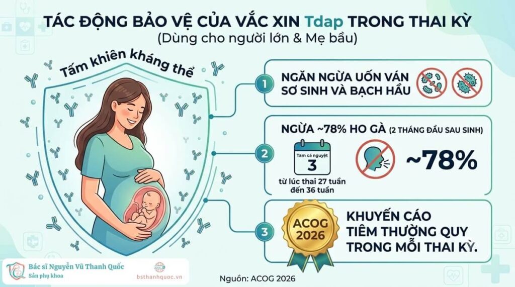 Lợi ích tiêm vắc xin Tdap cho mẹ bầu giúp bảo vệ mẹ và trẻ sơ sinh khỏi Bạch hầu, Ho gà và Uốn ván,