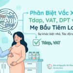Bác sĩ tư vấn phân biệt vắc xin Tdap, VAT, DPT, DTaP giúp mẹ bầu lựa chọn đúng mũi tiêm an toàn cho thai kỳ