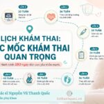 Các mốc khám thai quan trọng mẹ bầu cần nắm