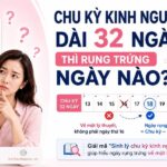 banner sinh lý chu kỳ kinh nguyệt, hiểu ngày rụng trứng về mặt lý thuyết